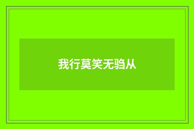 我行莫笑无驺从