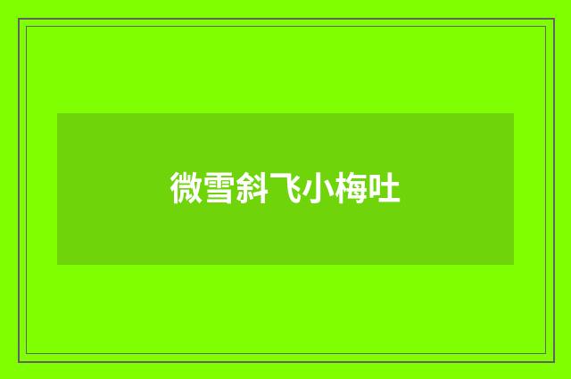微雪斜飞小梅吐