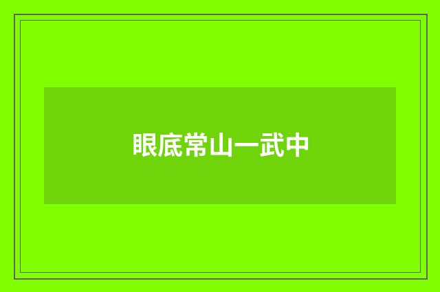 眼底常山一武中