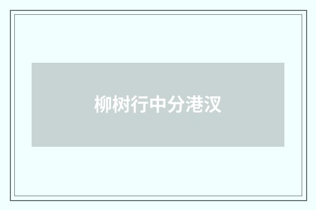 柳树行中分港汊