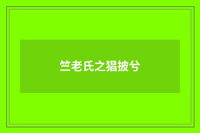 竺老氏之猖披兮