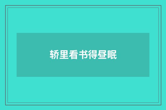 轿里看书得昼眠