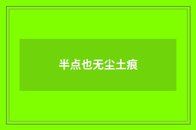 半点也无尘土痕