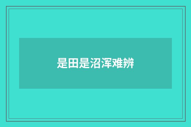 是田是沼浑难辨