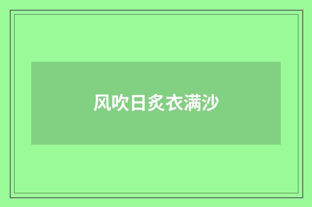 风吹日炙衣满沙