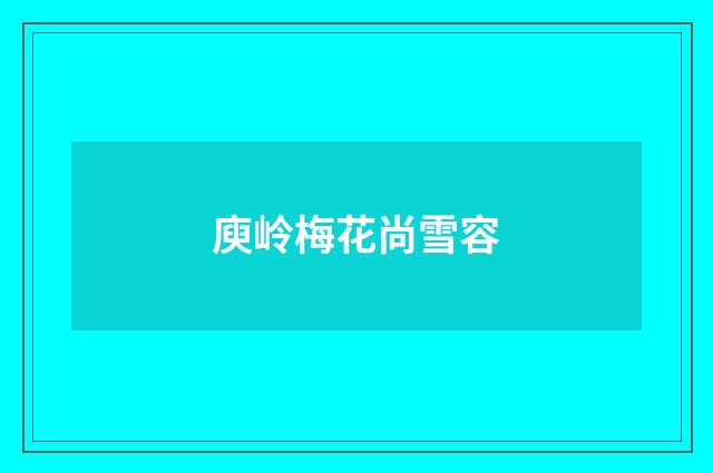 庾岭梅花尚雪容