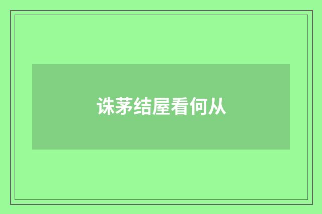 诛茅结屋看何从