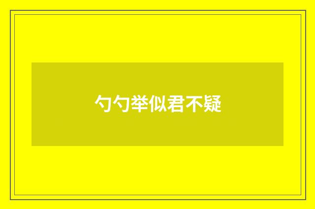 勺勺举似君不疑