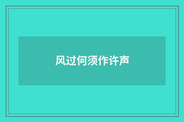 风过何须作许声