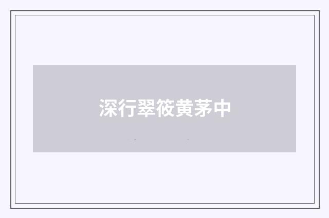 深行翠筱黄茅中