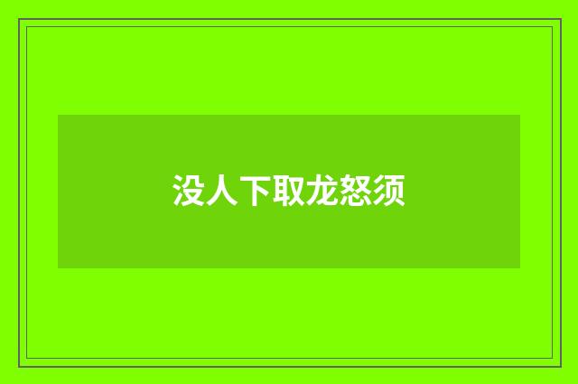 没人下取龙怒须