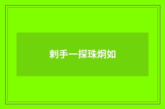 剌手一探珠炯如