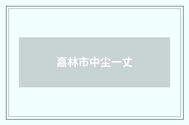 嘉林市中尘一丈