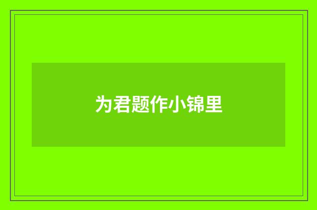 为君题作小锦里