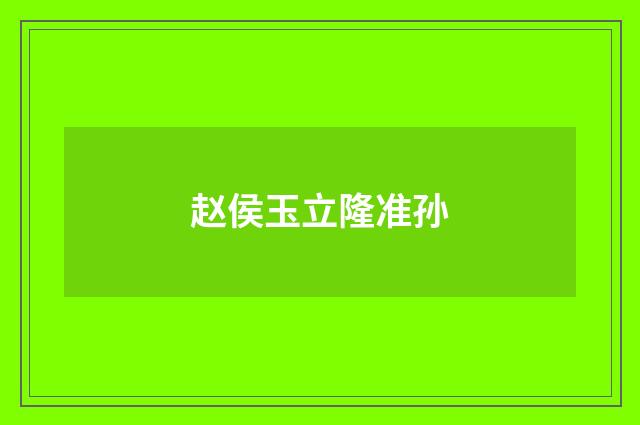 赵侯玉立隆准孙
