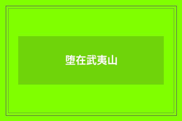 堕在武夷山