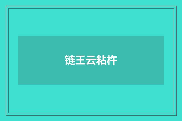 链王云粘杵