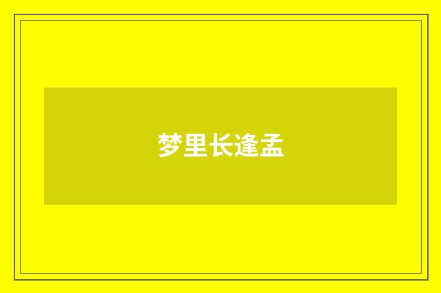 梦里长逢孟