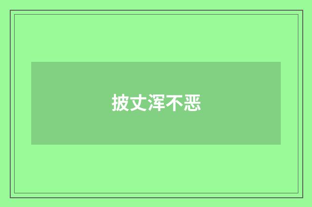 披丈浑不恶