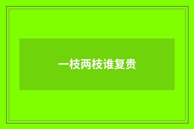 一枝两枝谁复贵