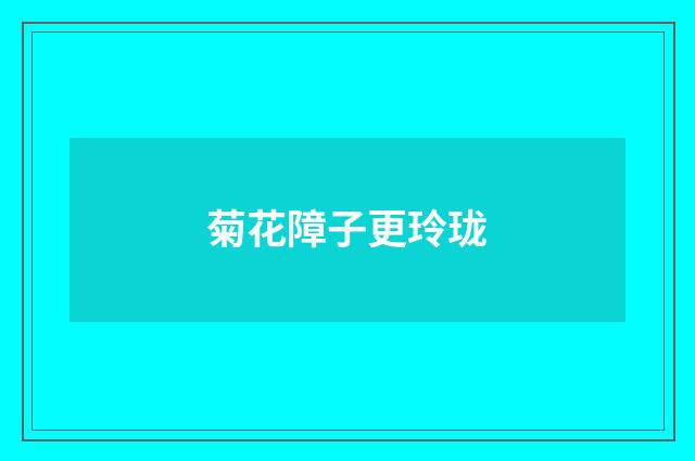 菊花障子更玲珑