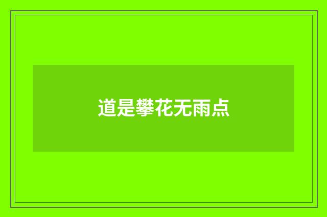 道是攀花无雨点