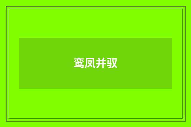 鸾凤并驭