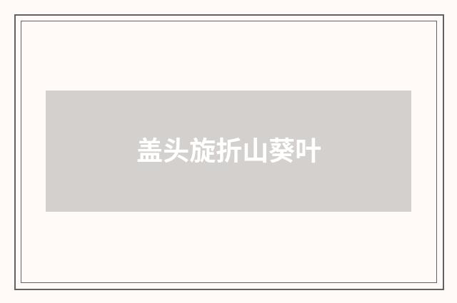 盖头旋折山葵叶