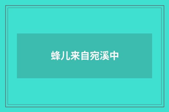 蜂儿来自宛溪中