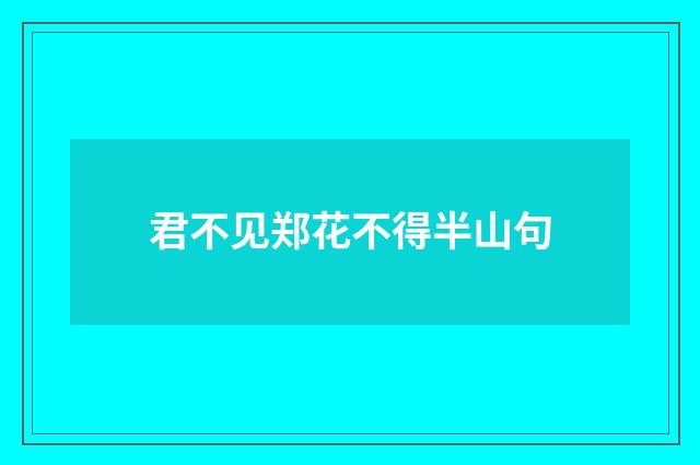 君不见郑花不得半山句