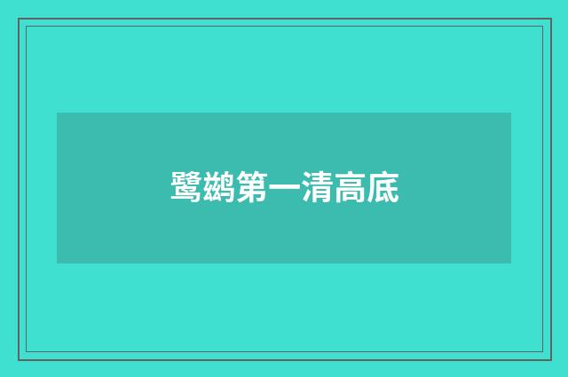 鹭鹚第一清高底