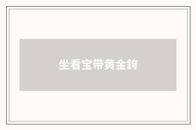 坐看宝带黄金銙