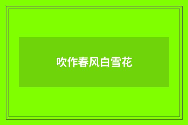 吹作春风白雪花