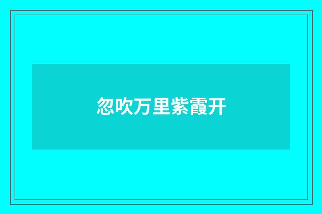 忽吹万里紫霞开