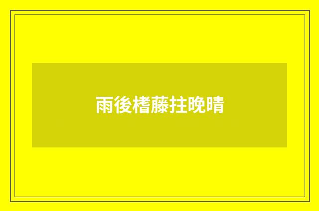 雨後榰藤拄晚晴