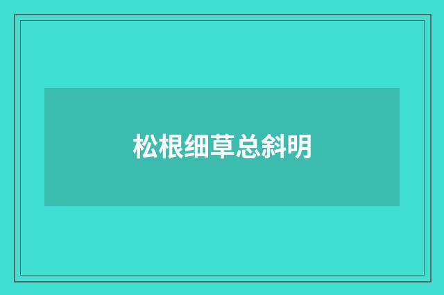 松根细草总斜明