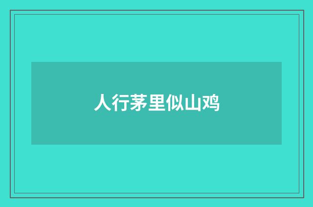 人行茅里似山鸡