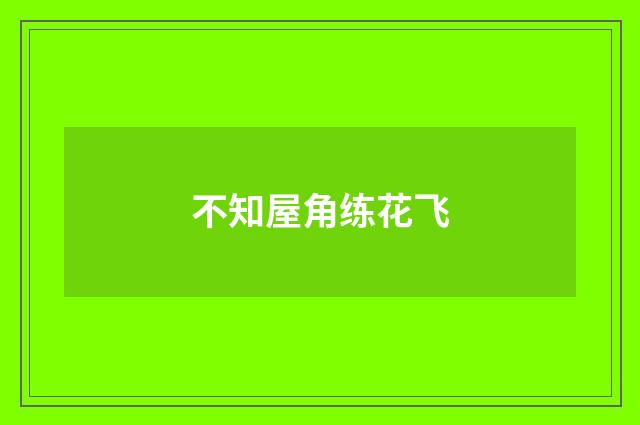 不知屋角练花飞