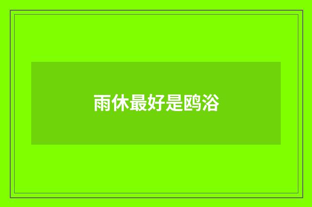 雨休最好是鸥浴