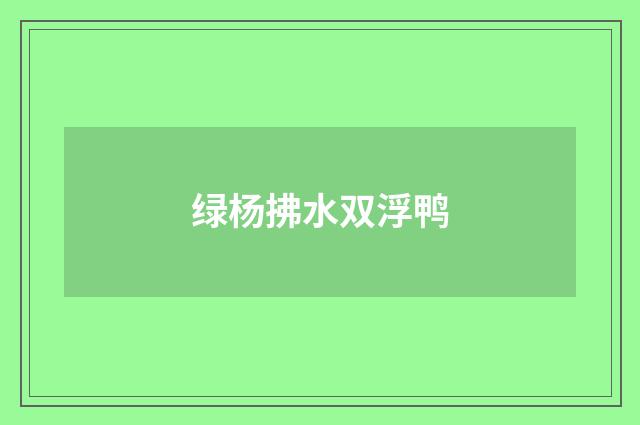 绿杨拂水双浮鸭