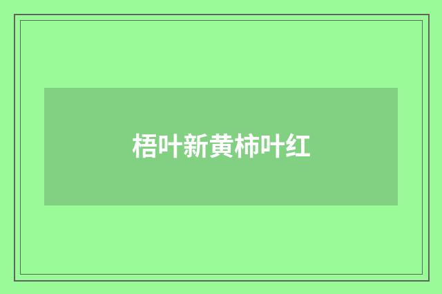梧叶新黄柿叶红