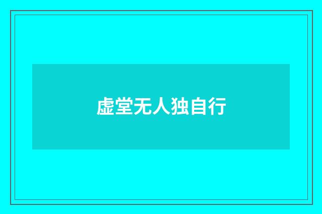 虚堂无人独自行