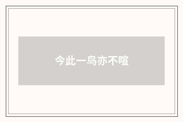 今此一鸟亦不喧