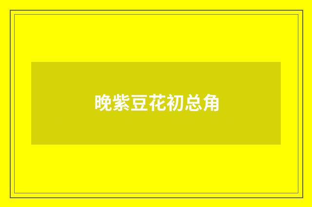 晚紫豆花初总角