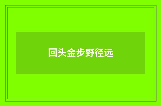 回头金步野径远
