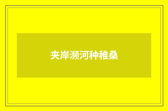 夹岸濒河种稚桑