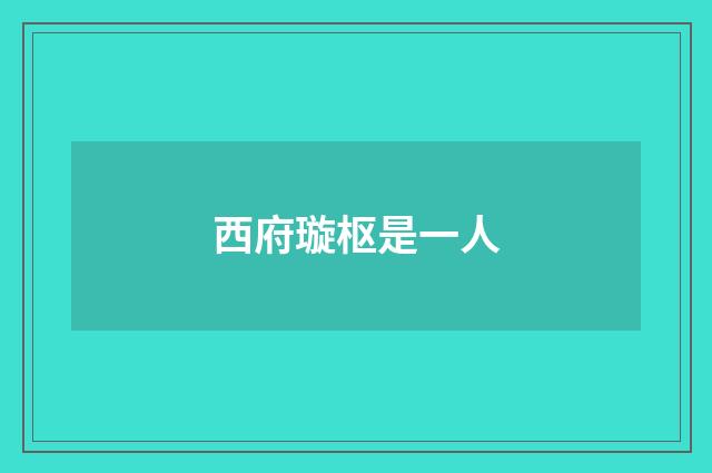 西府璇枢是一人