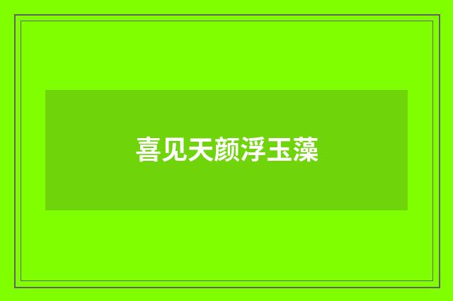 喜见天颜浮玉藻