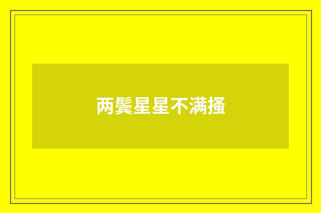 两鬓星星不满搔