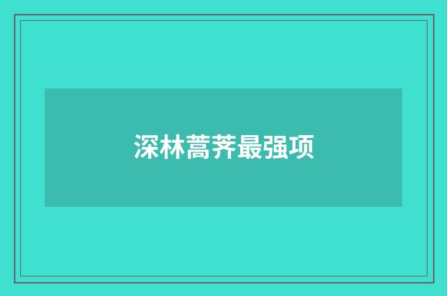 深林蒿荠最强项